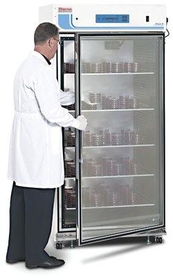 大容量即取式 CO2培養箱
