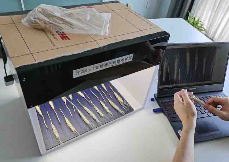 萬深SC-T型小麥穗形粒數考種儀