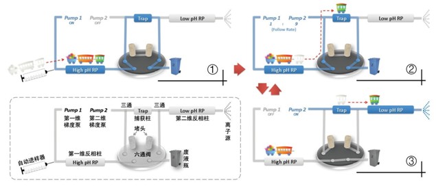 穩定高效的納升二維分離技術——在線雙反相色譜