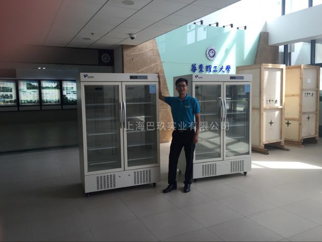 пƶ2-8t