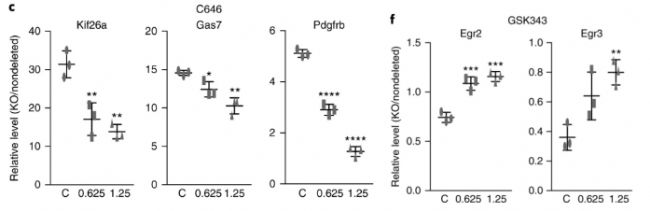 RNA-seq分析敲除Mettl14導致組蛋白修飾在全基因組范圍內發生改變,從而影響基因表達