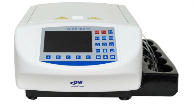 DƬ19.png