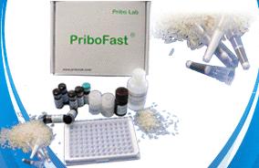 PriboFast®ùøߙzyԇ
